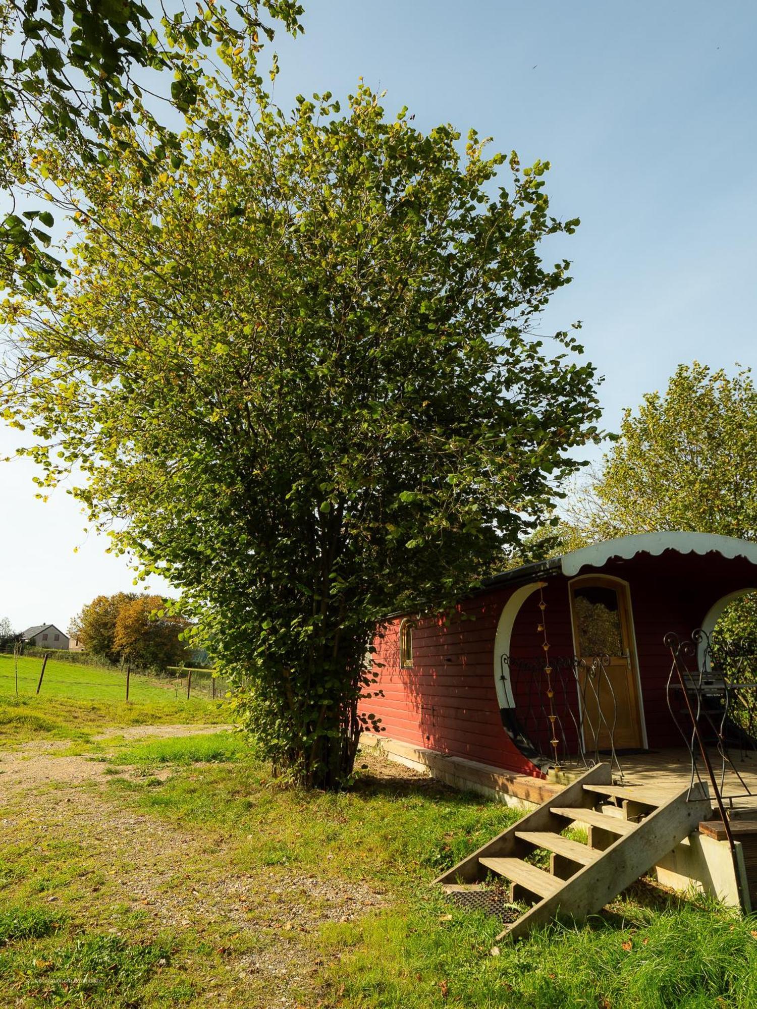 Villa La Tiny House de la Bergerie à Lierneux Extérieur photo